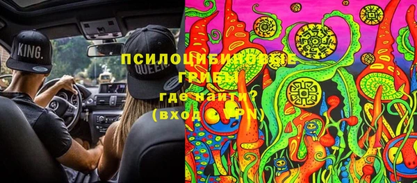 дурь Корсаков