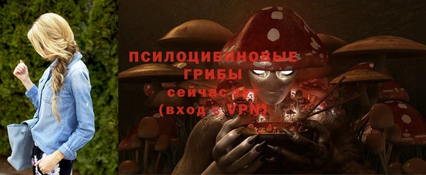 дурь Корсаков