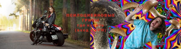 дурь Корсаков
